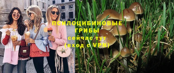 дурь Абаза