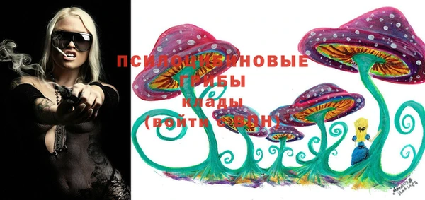 дурь Абаза