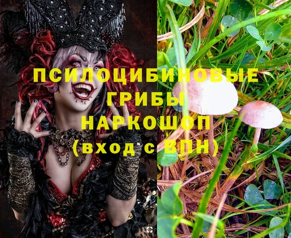 дурь Абаза