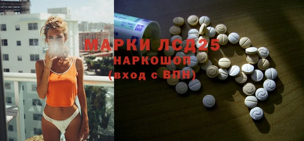 прущие грибы Абдулино
