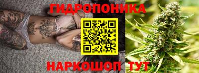 СК Пугачёв
