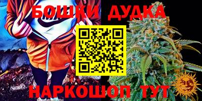 СК Пугачёв