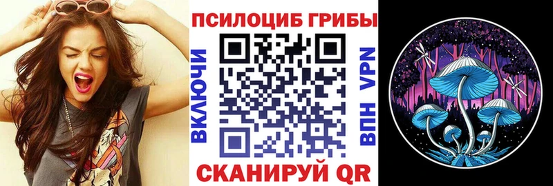 Галлюциногенные грибы мухоморы  это клад  Арсеньев  наркотики 