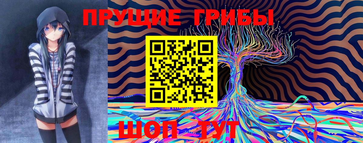 Галлюциногенные грибы GOLDEN TEACHER Арсеньев