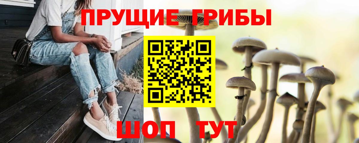 Арсеньев  Галлюциногенные грибы мухоморы  Галлюциногенные грибы мухоморы  Вход с VPN 